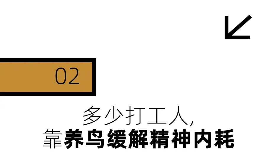 失业人员可以提前准退休_残疾人可提前5年退休_