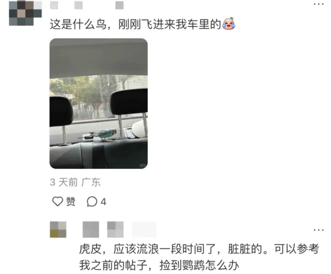 _失业人员可以提前准退休_残疾人可提前5年退休