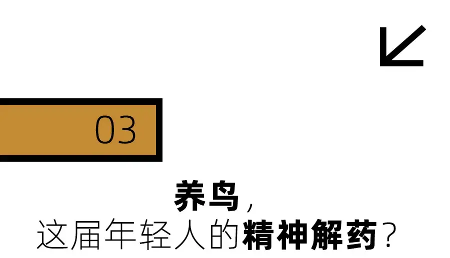 失业人员可以提前准退休_残疾人可提前5年退休_